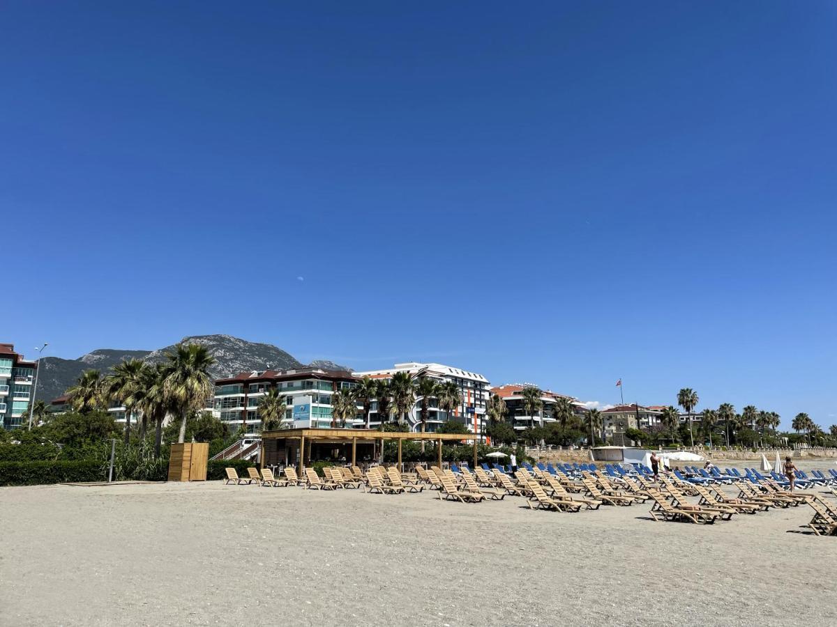 Sa Apartments! 300M To The Beach 阿拉尼亚 外观 照片