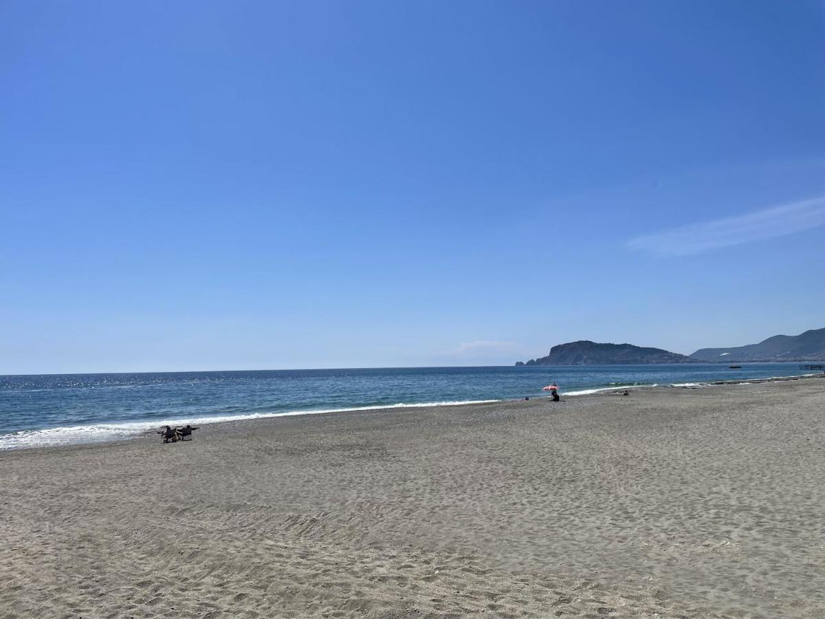 Sa Apartments! 300M To The Beach 阿拉尼亚 外观 照片