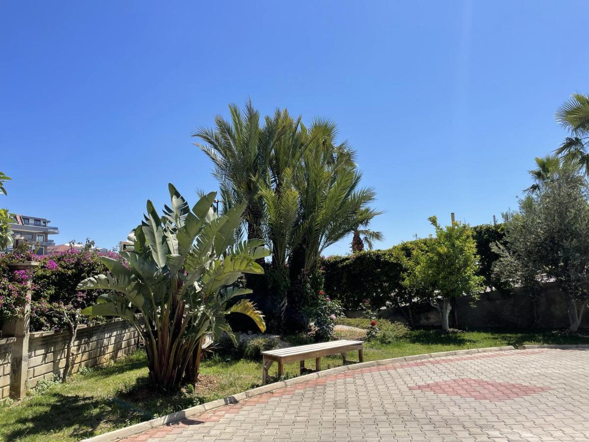 Sa Apartments! 300M To The Beach 阿拉尼亚 外观 照片
