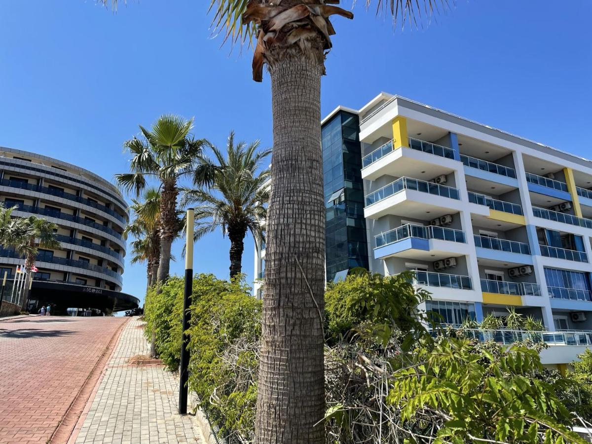 Sa Apartments! 300M To The Beach 阿拉尼亚 外观 照片